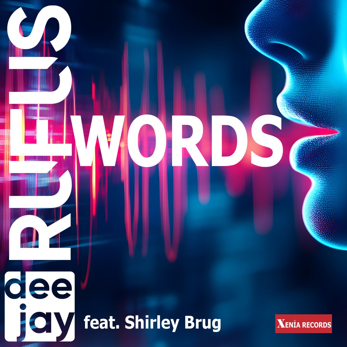 dee jay RUFUS feat. Shirley Brug - WORDS - Cover.jpg